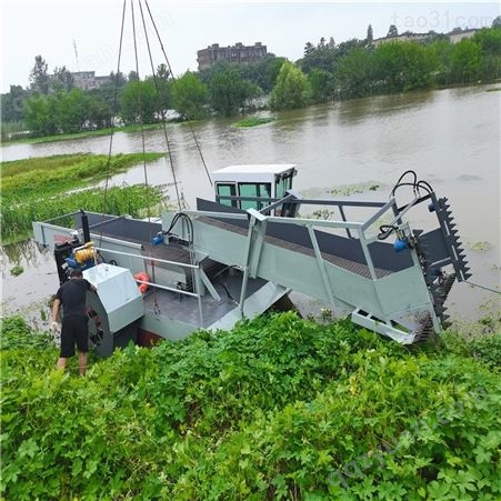 青州鸿兴全自动割草船 水葫芦收割打捞船