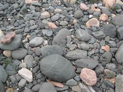 河北 批发鹅卵石 黑色鹅卵石厂家 黑色鹅卵石介绍 黑色鹅卵石价格