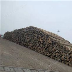 建筑工程方木定制 呈果木业5x9辐射松建筑工程方木厂家报价销售
