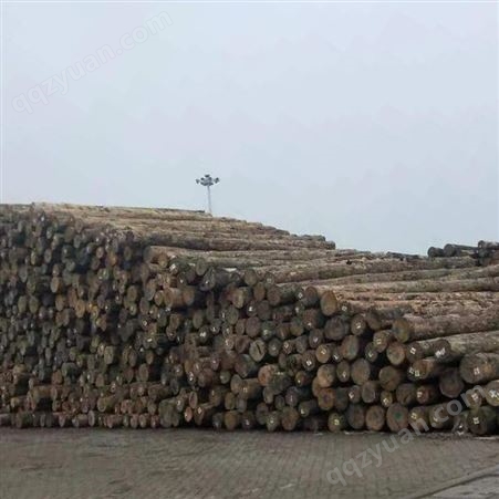 辐射松木方规格报价 呈果木业5x9辐射松建筑木方厂家自产自销