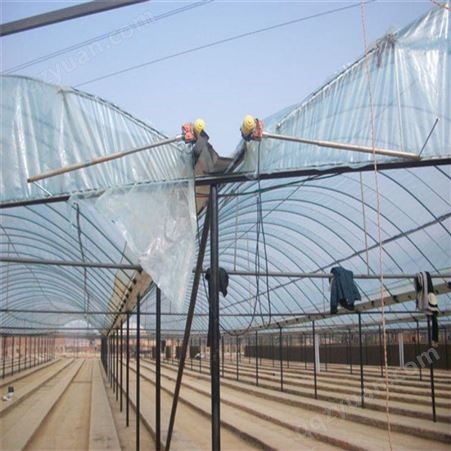 甘肃兰州玻璃温室 放风机控制器 中农智造 DX-NE-358型大棚放风一体机 中农