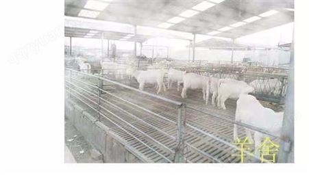养牛场高压喷雾除臭降温设备 喷雾降温设备规格齐全
