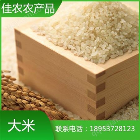 鱼台圆粒大米 珍珠米 优质大米生产加工厂家 量大从优