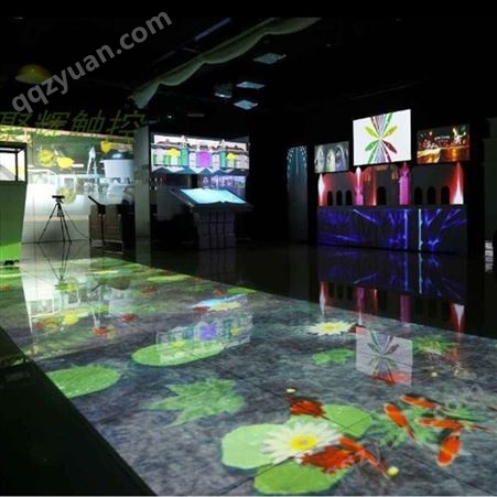 海洋主题沉浸式投影 AR全息投影室内户外亮化 全息投影广州