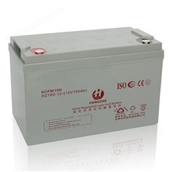 照明免维护铅酸蓄电池定制加工_输出电压|12VDC
