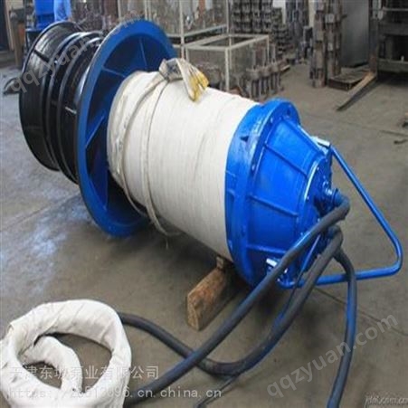 东坡保证大口径轴流泵-大流量高扬程潜水轴流泵