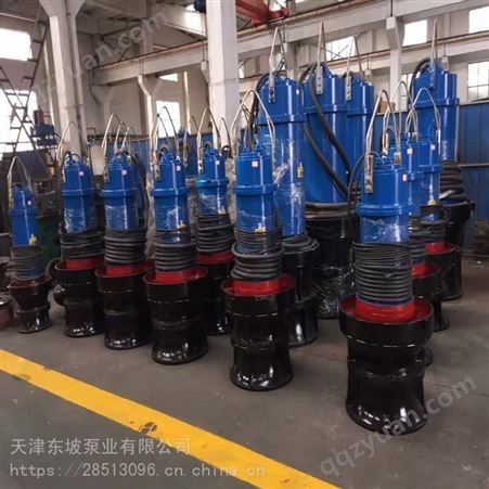 供应600QSZ-4-65无堵塞潜水轴流泵-天津东坡泵业