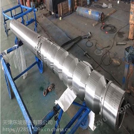 天津东坡泵业 不锈钢立式深井泵供应商 下吸式 潜水泵 大流量 高扬程
