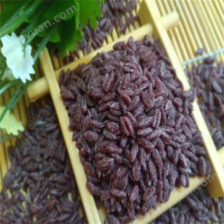 营养复合米 黄金米 杂粮米 人造米 再造米 保健米生产设备