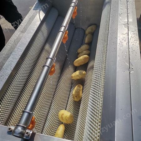 土豆去皮清洗机 小型土豆毛辊脱皮机 马铃薯毛刷去皮清洗设备
