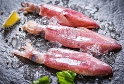 印度尼西亚冷冻鱿鱼进口报关公司|进口消杀检测全程跟进