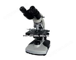 双目简易偏光显微镜-11-2