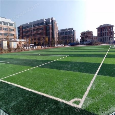 青岛足球场铺装草好-维护足球场草坪
