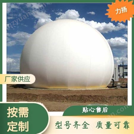 双膜储气柜系统 沼气储存设备 用途及使用范围 球体外观