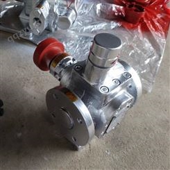 YCB不锈钢圆弧齿轮泵 小流量圆弧齿轮油泵 卫生食品圆弧泵 来图定制