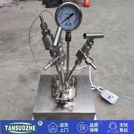 TSZ-3C/D-0.5L多功能高压反应釜 小型台式高热反应釜设备 教育教学探索设备