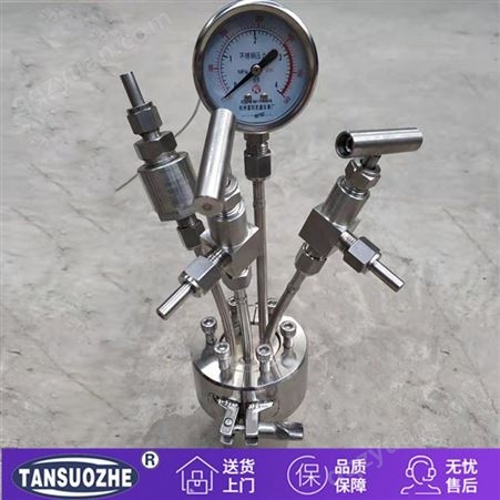 TSZ-3C/D-0.1型号微型台式反应釜 简易反应釜设备 实验教学反应设备