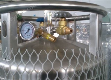 青岛安泰科气体有限公司 现货销售DPL450-195-1.4液氮罐  液氩罐 液氧罐 低温绝热气瓶 压力1.4MPA