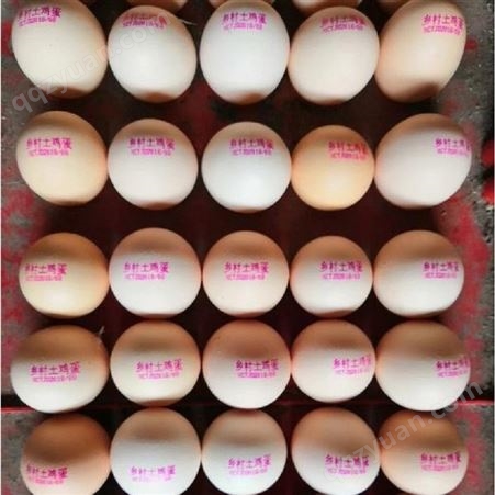喷码机油墨YJR INK HA00鸡蛋喷码油墨_用于鸡蛋加工厂