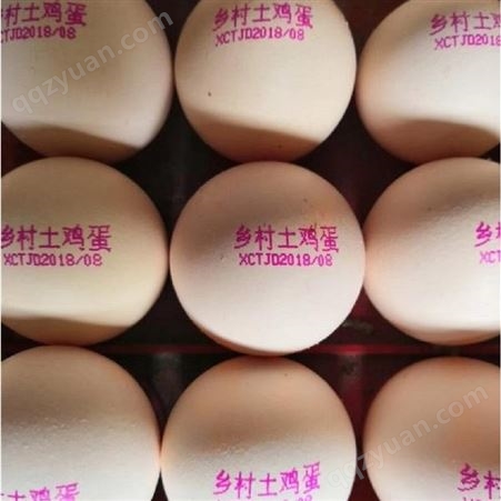喷码机油墨YJR INK HA00鸡蛋喷码油墨_用于鸡蛋加工厂