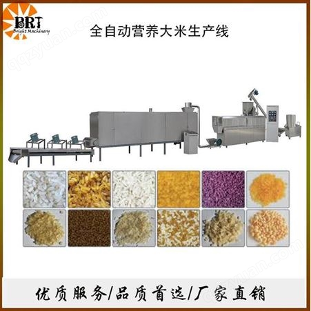 济南比睿特机械 DSE-70型 营养米生产线供应商 营养大米挤压膨化机