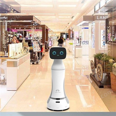 人工智能银行机器人厂家供应-人工智能服务机器人供应-人工智能导诊机器人市场报价-机器人厂家