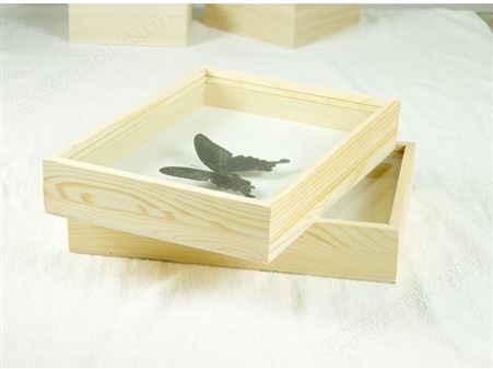 木质标本盒海绵针插板盒