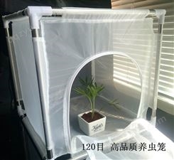 植物昆虫笼防护笼防护网罩笼养虫笼
