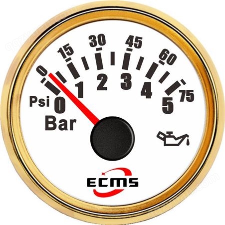 仪创 ECMS 800-00042 厂家供应 步进电机式压力表 船用车用显示仪表