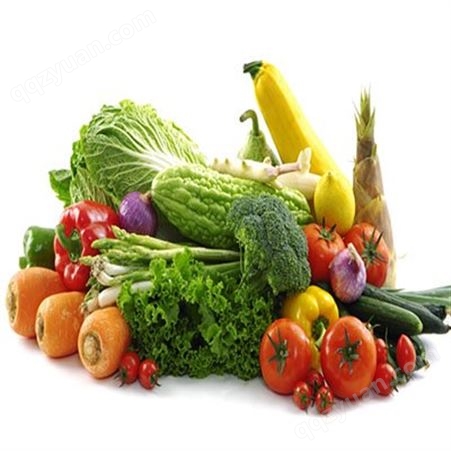 蔬菜配送上宏鸿，，新鲜健康，产品齐全