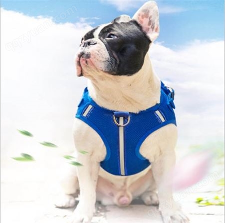 辽宁葫芦岛 宠物背心式胸背带 可调节大小结实耐用 宠物背心式胸背带出售