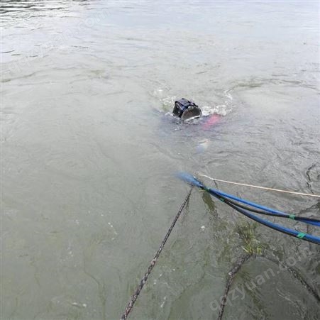 台州 水下打捞蛙人打捞队