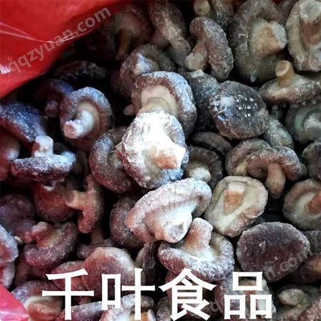 鹤壁冷冻香菇丁 千叶速冻白菇