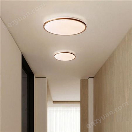 led吸顶灯主卧室灯走廊的客厅灯24W多色可选过道灯 三雄极光