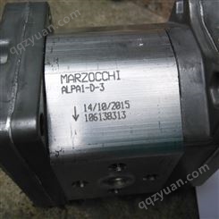意大利马祖奇 MARZOCCHI 齿轮泵 GHPA2A3-D-25-S5-D+GHPP2-D-6-D