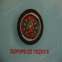 DJVPV22铠装  仪表计算机电缆  现货供应  专业厂家