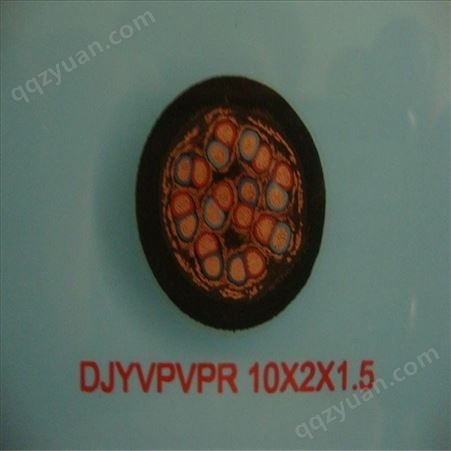 ZR-DJFPV  计算机电缆 控制仪表电缆  定做  国标价格