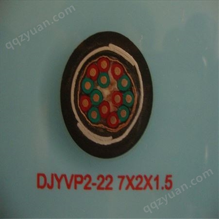 DJVPV18*2*1  信号计算机电缆 厂家报价