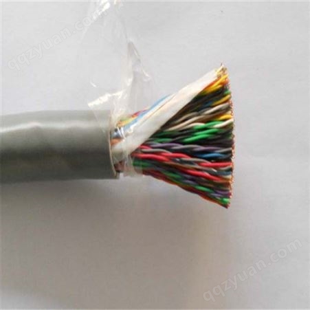 HSYVP10*2*0.5 大对数电缆  预定低价
