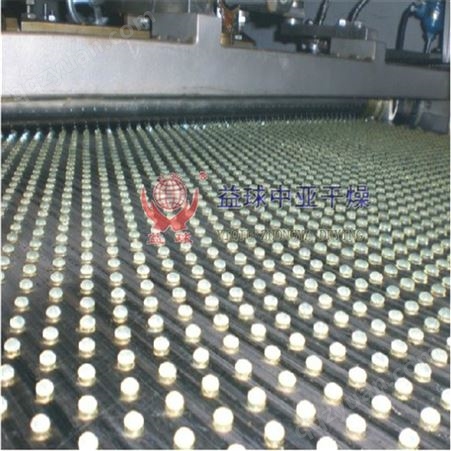 微晶蜡造粒机 益球干燥设备 熔融造粒机 布料器 钢带造粒机滴头