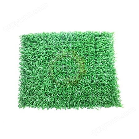 澄金毯 金毡 洗金毯 绿色选金草 抓金毯 增金毯 绿色沾金草