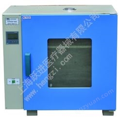 上海跃进电热恒温干燥箱HGZN-II-270（老型号GZX-DH.600-BS-II）