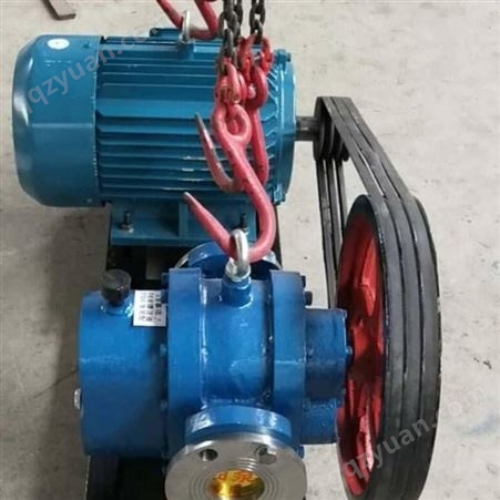 驰通异形定制LC-18/0.6煤焦油专用泵皮带罗茨油泵