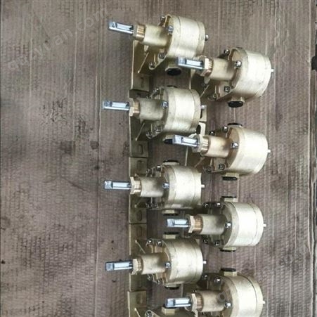 驰通厂家供应热熔胶齿轮泵印刷设备白乳胶输送铜胶泵全铜材质上糊机打胶泵