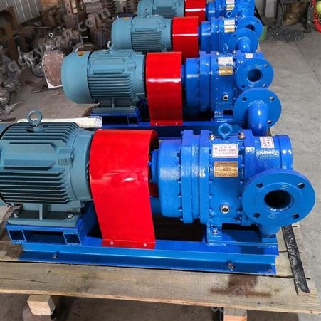 驰通厂家生产工业型转子泵 输送污泥转子泵 输送油渣转子泵