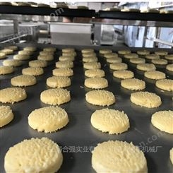 上海合强供应双排线切割曲奇机 带撒料曲奇挤出设备 HQ-CK800型全自动曲奇饼干生产线