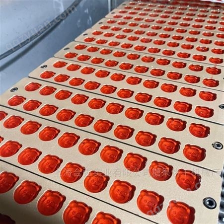 全自动凝胶软糖设备 果胶浇注软糖机 上海合强HQ150型糖果成型机械视频
