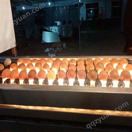 黑心蛋检测设备 裂纹蛋光检设备 鸡蛋检测机器