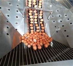 全自动洗蛋机  蛋品清洗设备  鸡蛋鸭蛋清洁风干光检