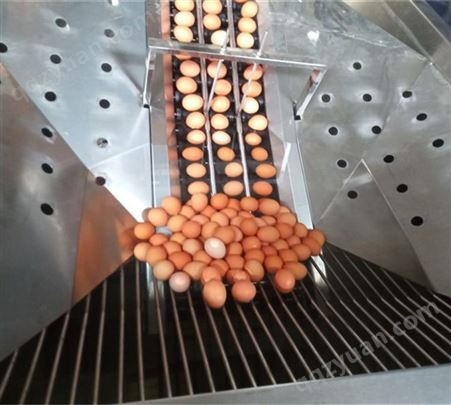 SRM-600-Ⅲ全自动洗蛋机  蛋品清洗设备  鸡蛋鸭蛋清洁风干光检